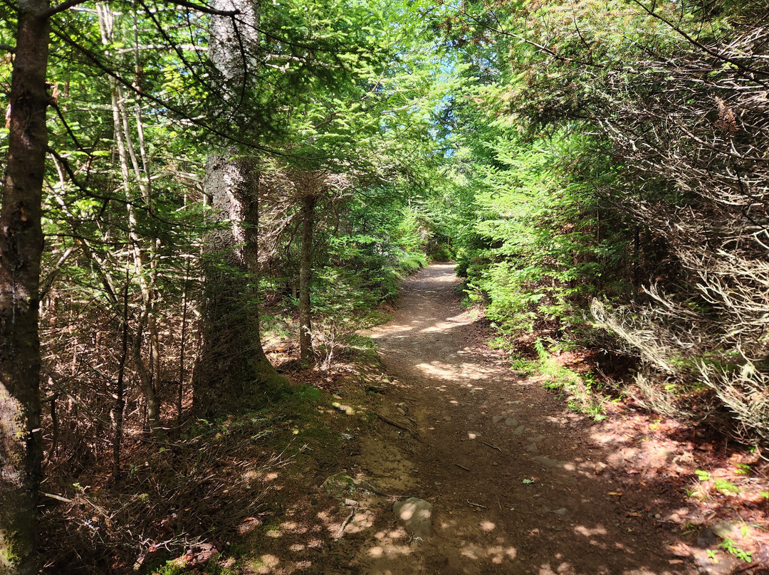 Cape Split Hiking Trail-Scots Bay必去景点