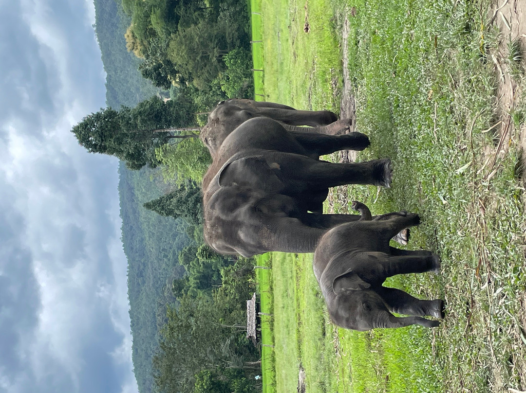 Karen Hilltribe Elephant Sanctuary-Mae Win必去景点