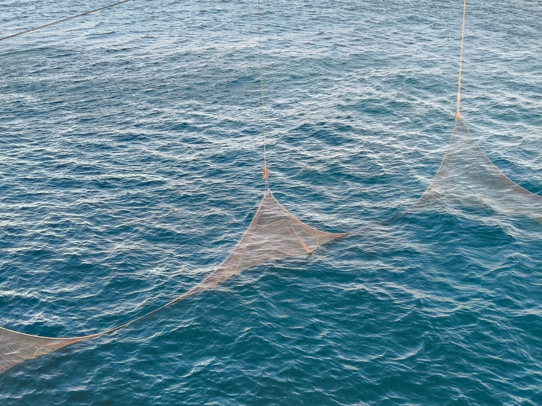 Trabucco Di Punta San Francesco-维耶斯泰必去景点