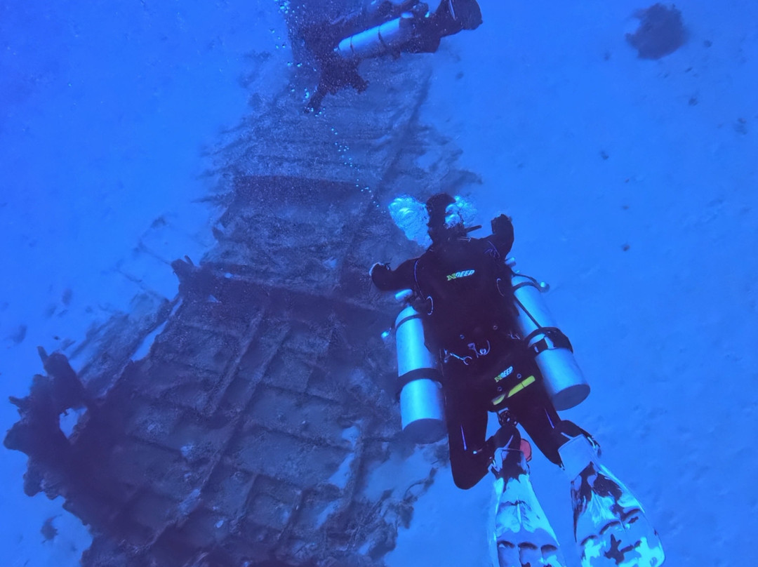 Octopus Diving Centre-Pereybere必去景点
