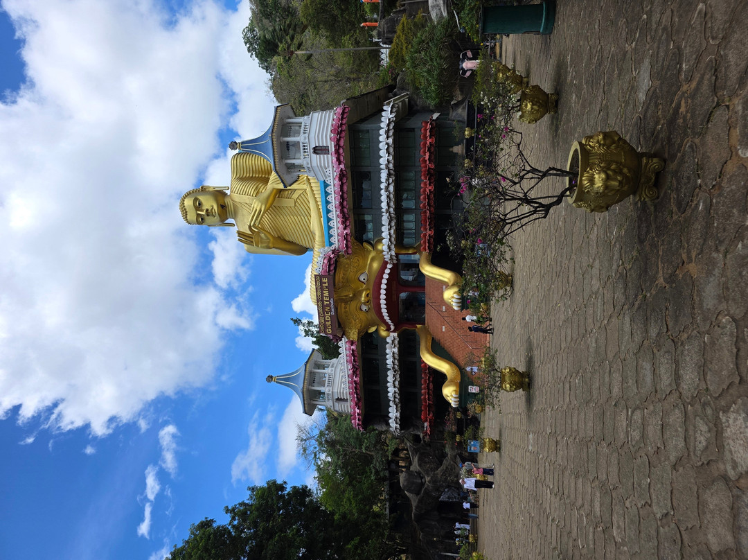 Driver in Sri Lanka-科伦坡必去景点