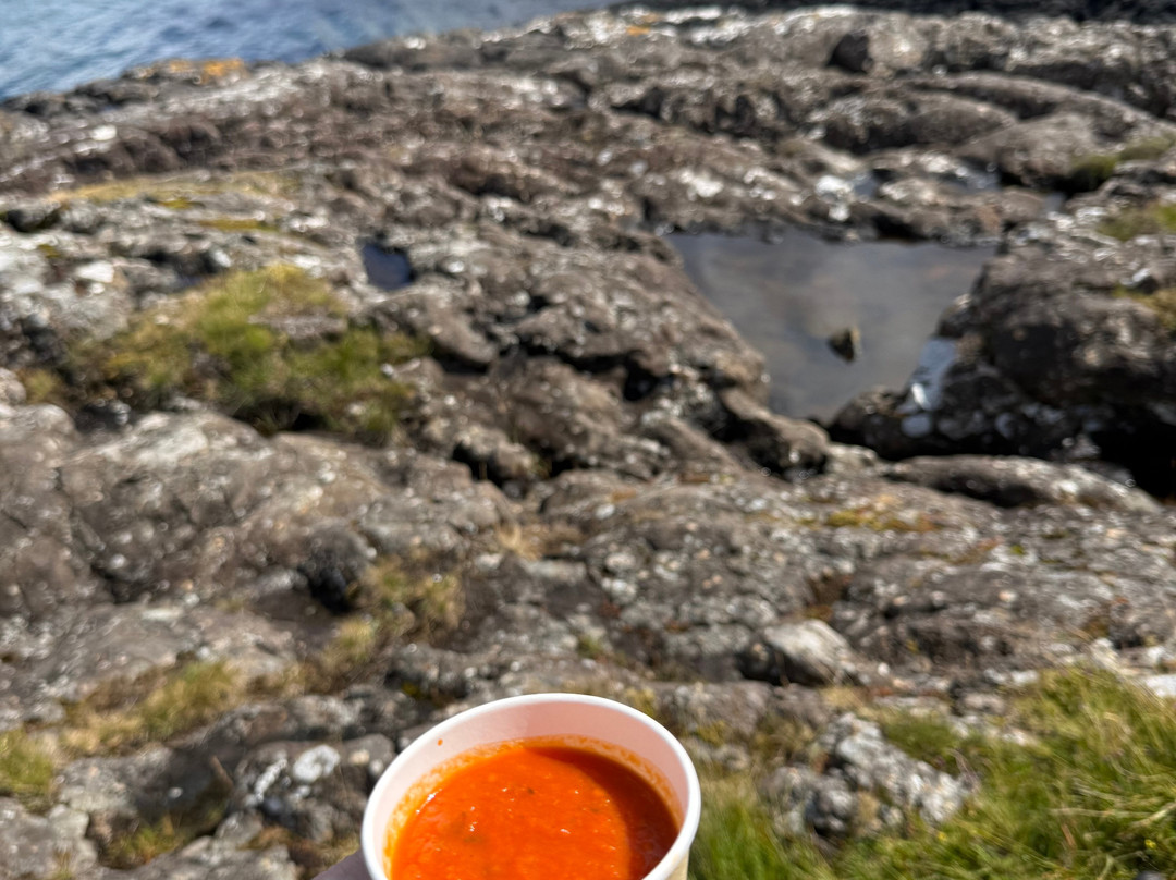 Mull Magic Wildlife - Day Tours-Tobermory必去景点