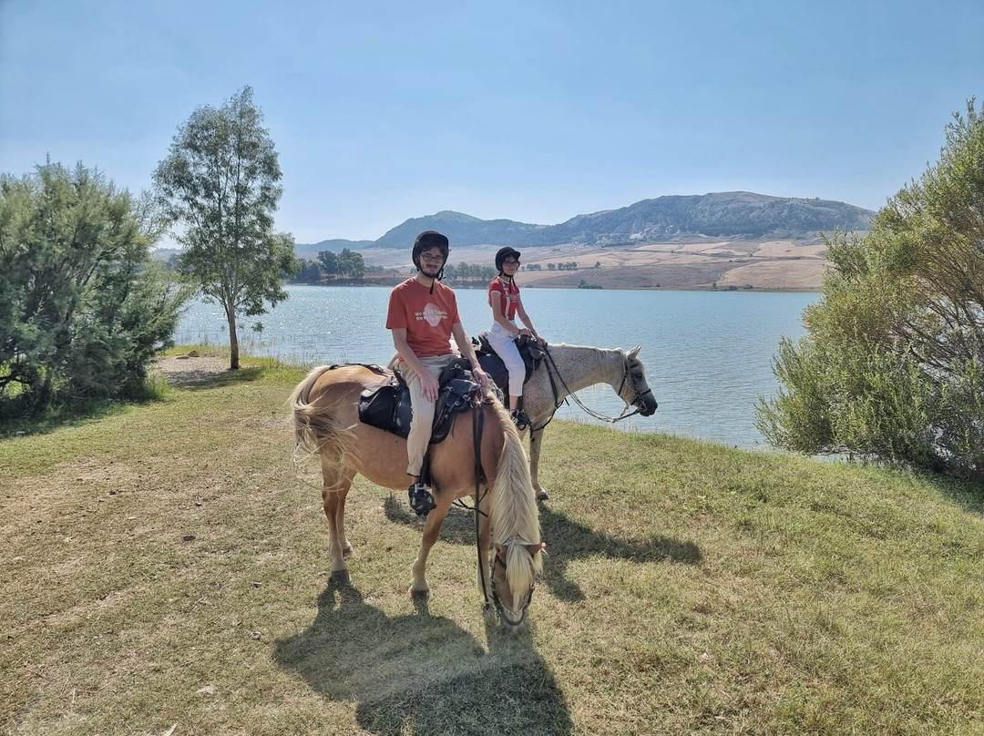 Horse Trekking Sicily-Marineo必去景点