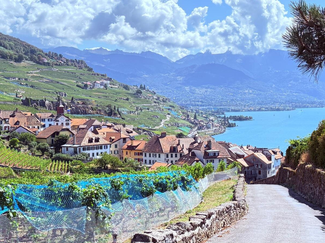 Vinorama Wine Tour, Lavaux-Rivaz必去景点