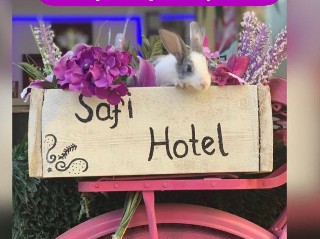 Safi Hotel主图