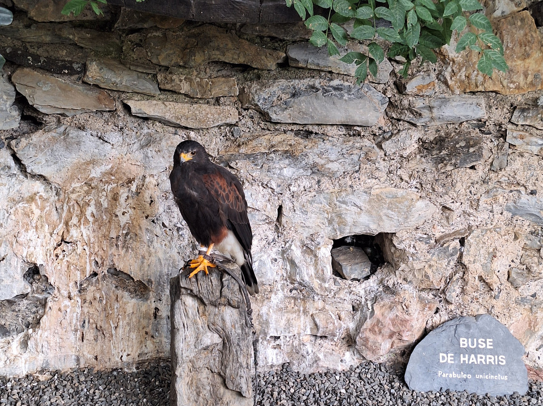 Dungeon of Eagles-Beaucens必去景点