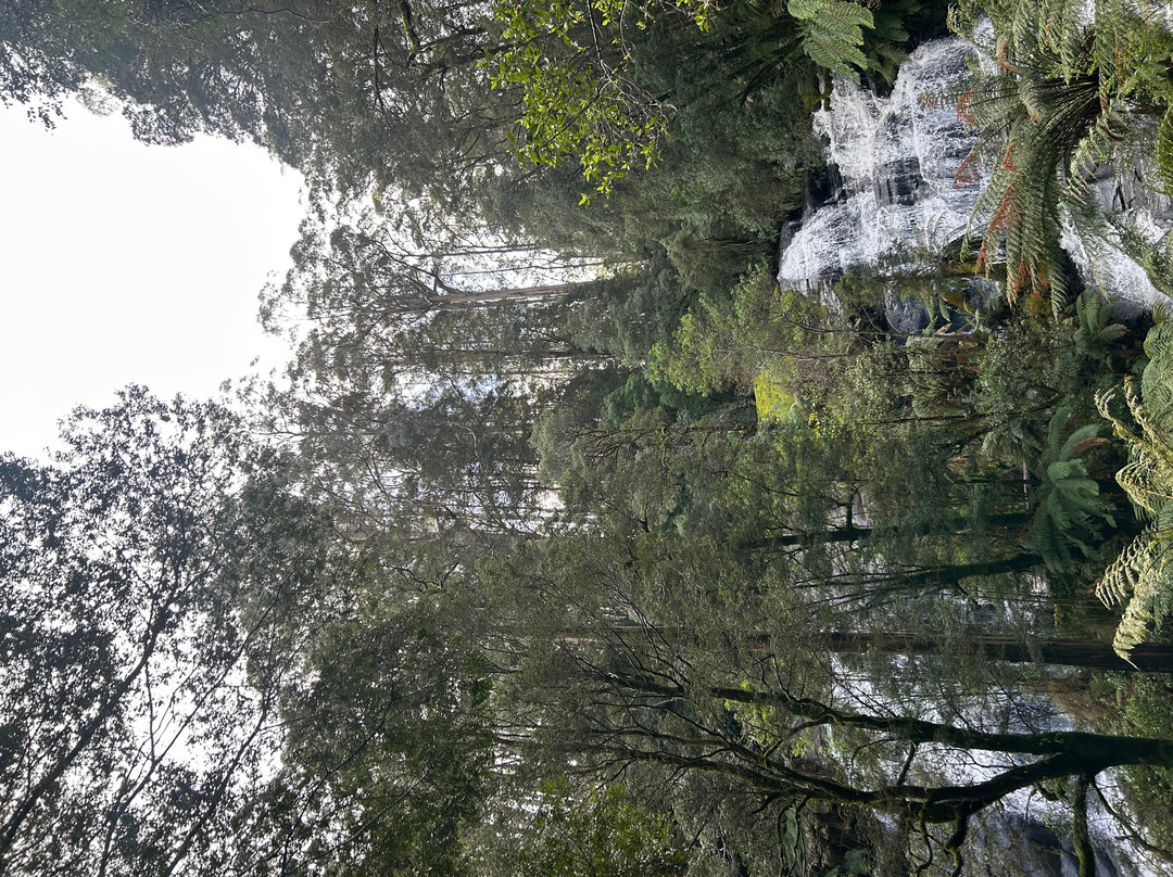 Triplet Falls-Beech Forest必去景点
