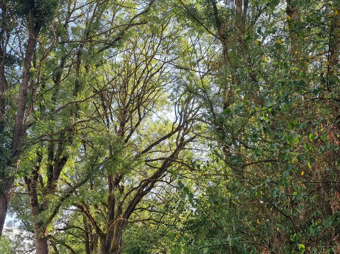Oiseaux du Marais Poitevin-Saint-Hilaire-la-Palud必去景点