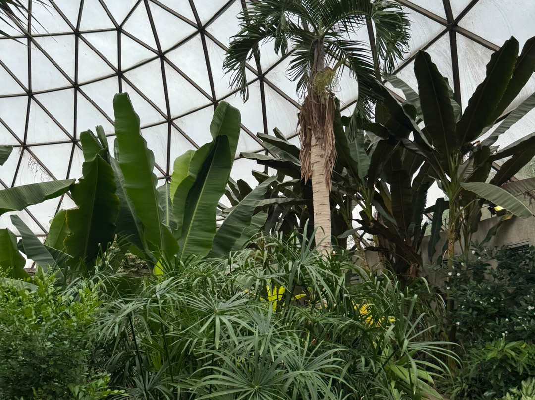 Greater Des Moines Botanical Garden-得梅因必去景点