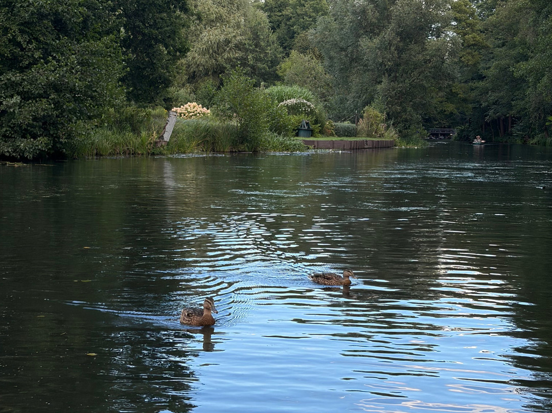 Kais Spreewald Kahnfahrten-吕贝瑙必去景点