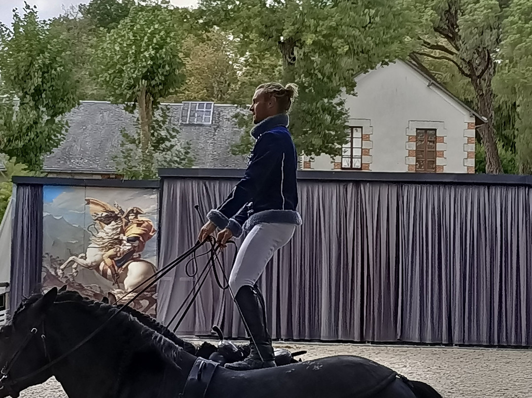 Haras De La Vendée-La Roche-sur-Yon必去景点