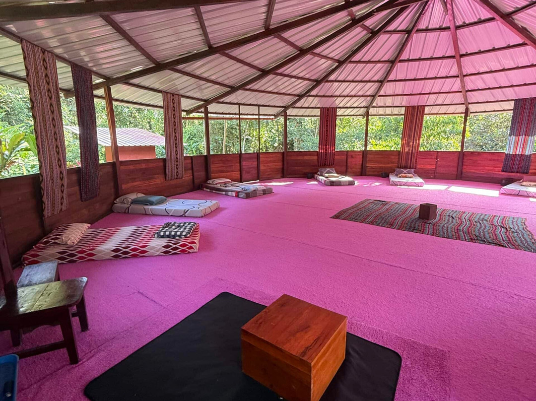 Amayas Ayahuasca Ecuador-Cotundo必去景点