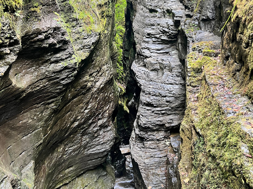 Vale of Rheidol Railway-阿伯里斯特威斯必去景点