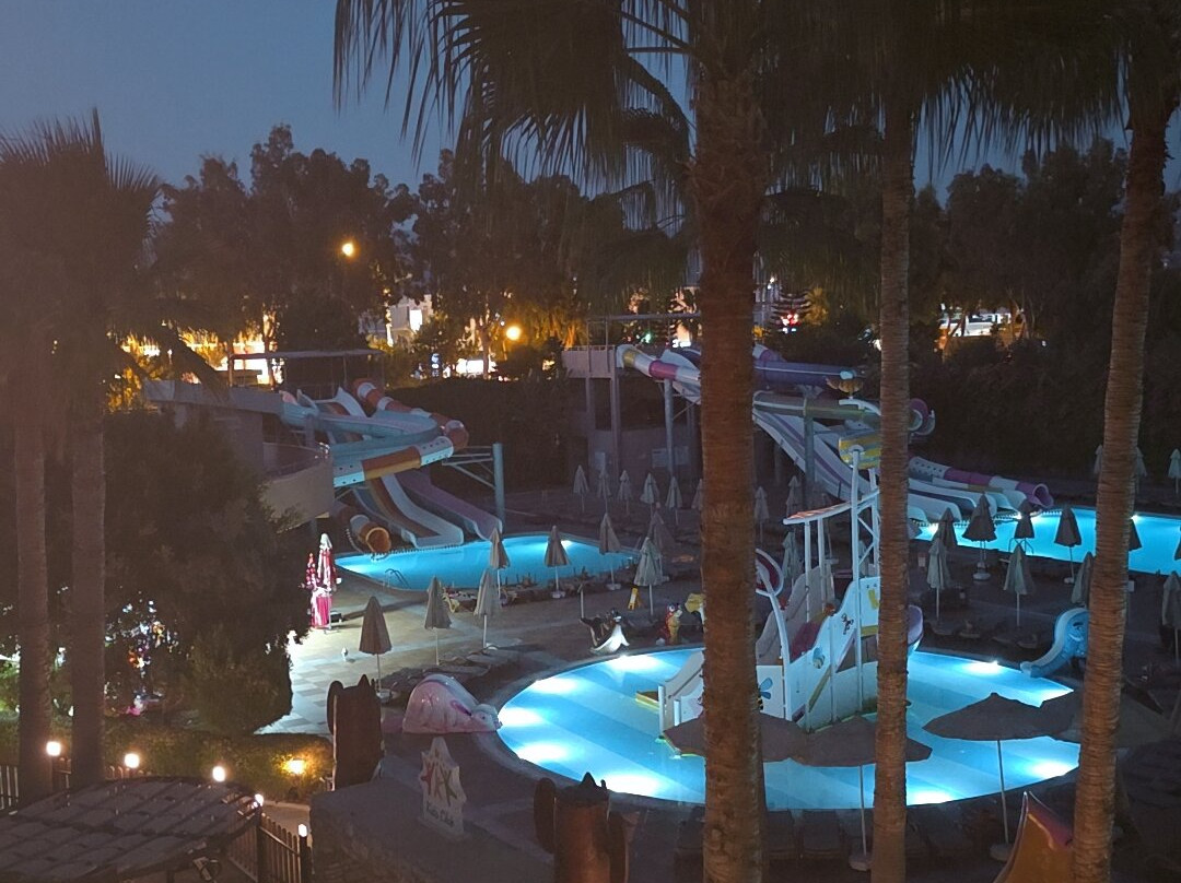 皇家花园海滩酒店 - 全包式主图