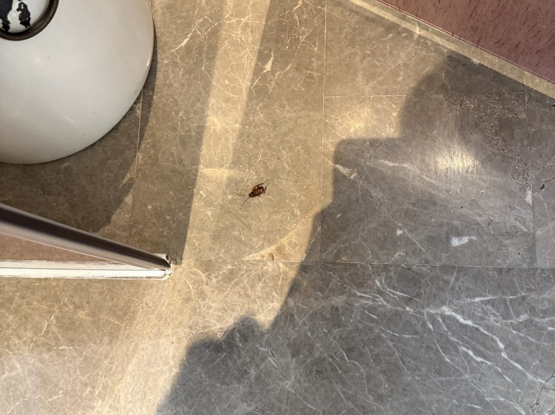 海南土福湾嘉佩乐度假酒店主图