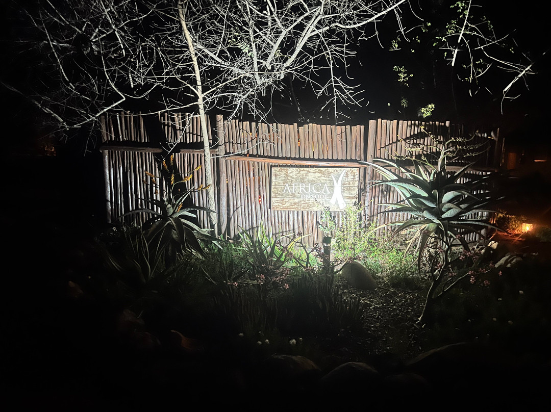 徒步非洲山林小屋主图