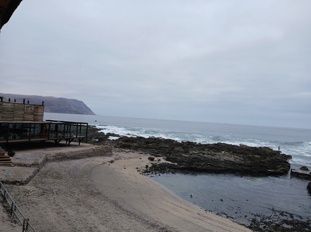 阿佩奇塔酒店主图