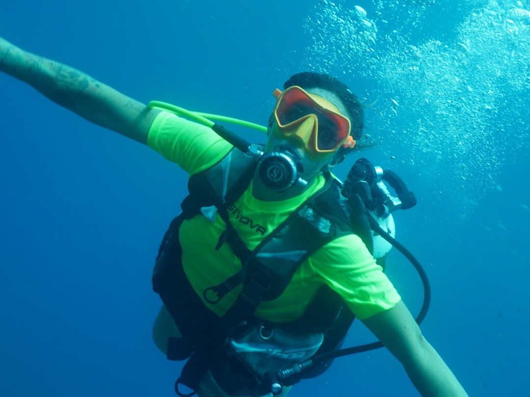 Diving Yoghi-阿格罗波利必去景点