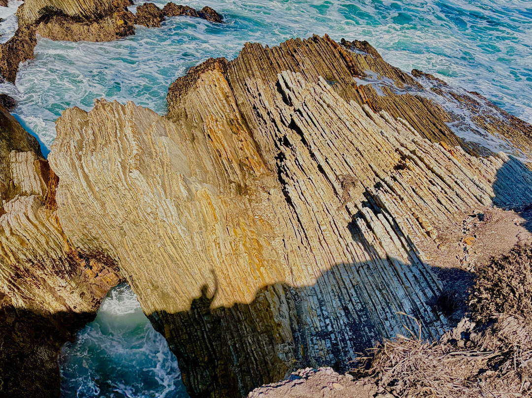 Montana de Oro State Park-Los Osos必去景点