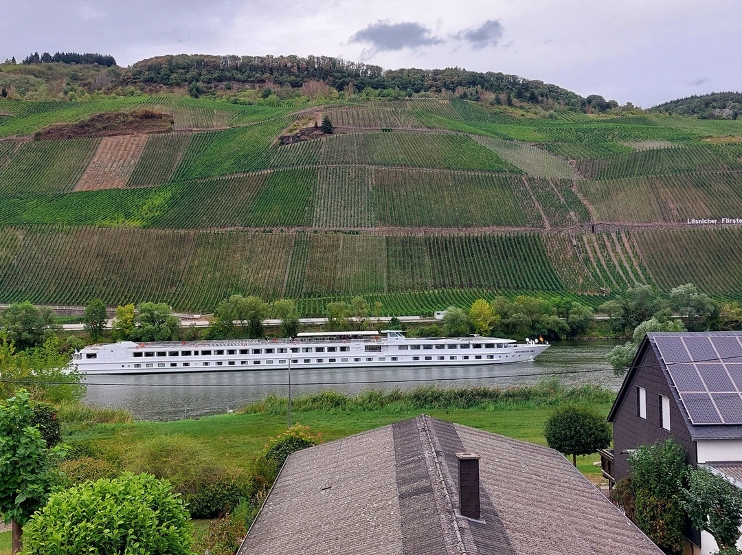 Moselappartements by Weingut Marco Adamy