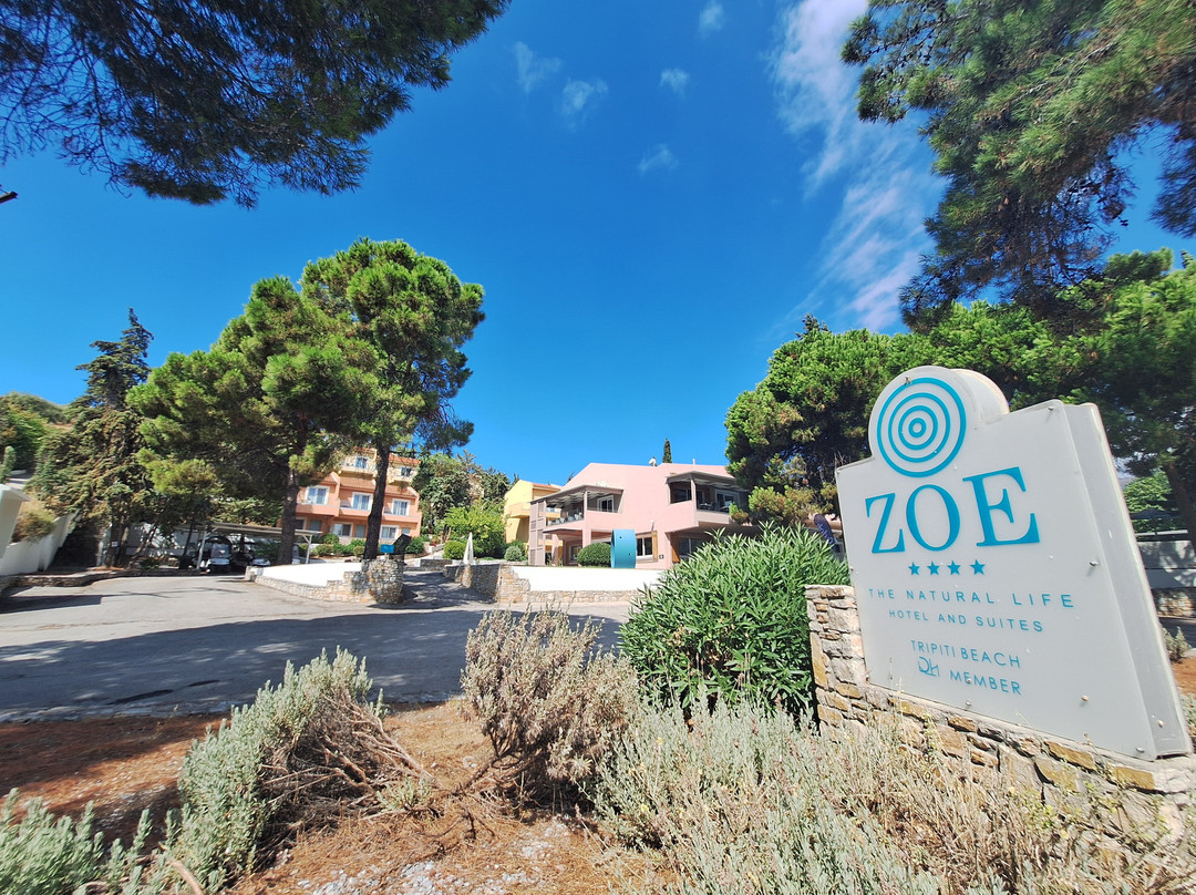 Zoe Hotel