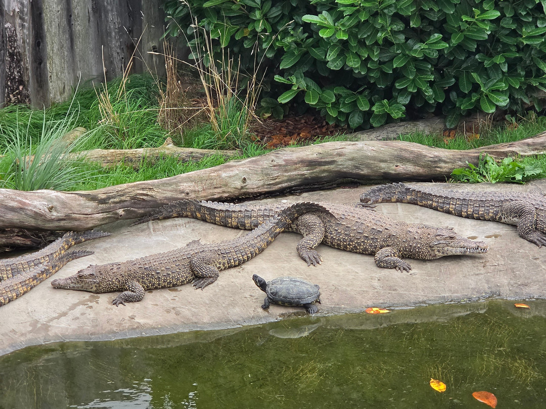 Krokodille Zoo-Eskilstrup必去景点