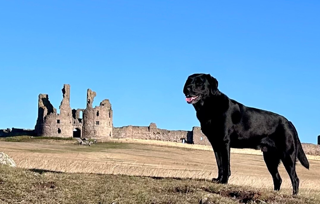 Dunstanburgh Castle Golf Course-Embleton必去景点