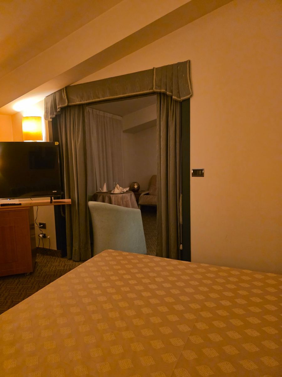 萨旺特酒店-客卧