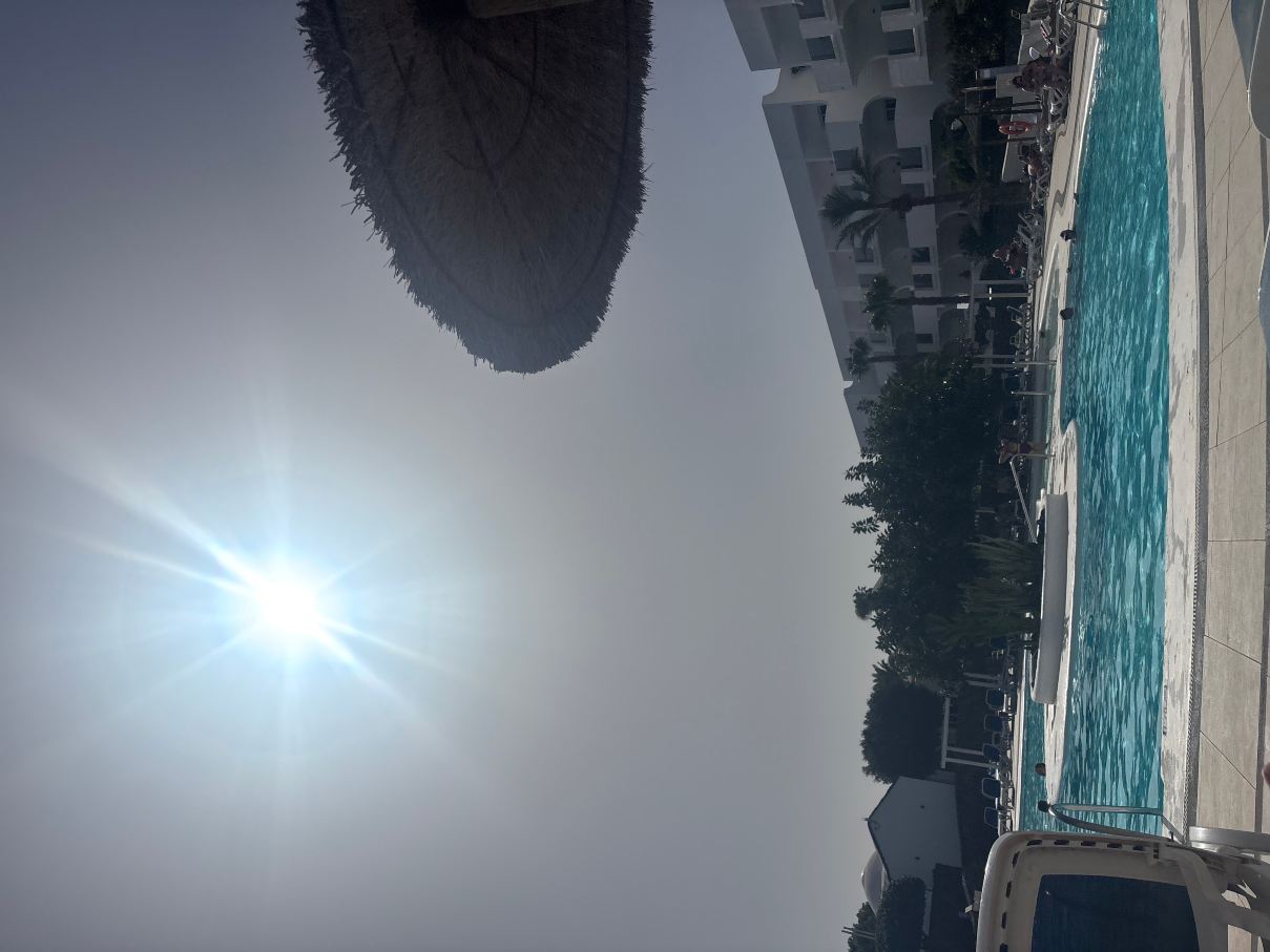 Apartments Ficus-旅行者