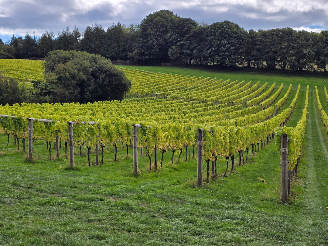 Sandridge Barton Wines-托特尼斯必去景点