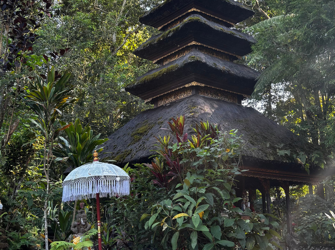 Jatiluwih Cycling & E-bike Tours With Bali By Pedals-Belalang必去景点