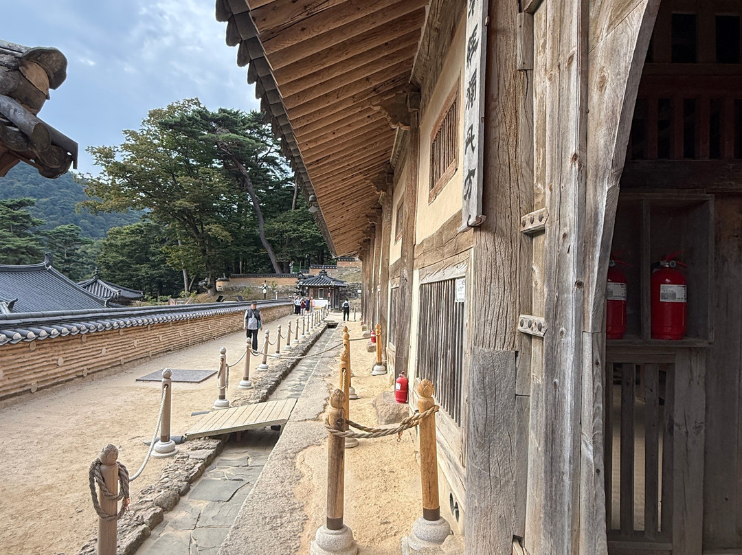 海印寺-陕州郡必去景点