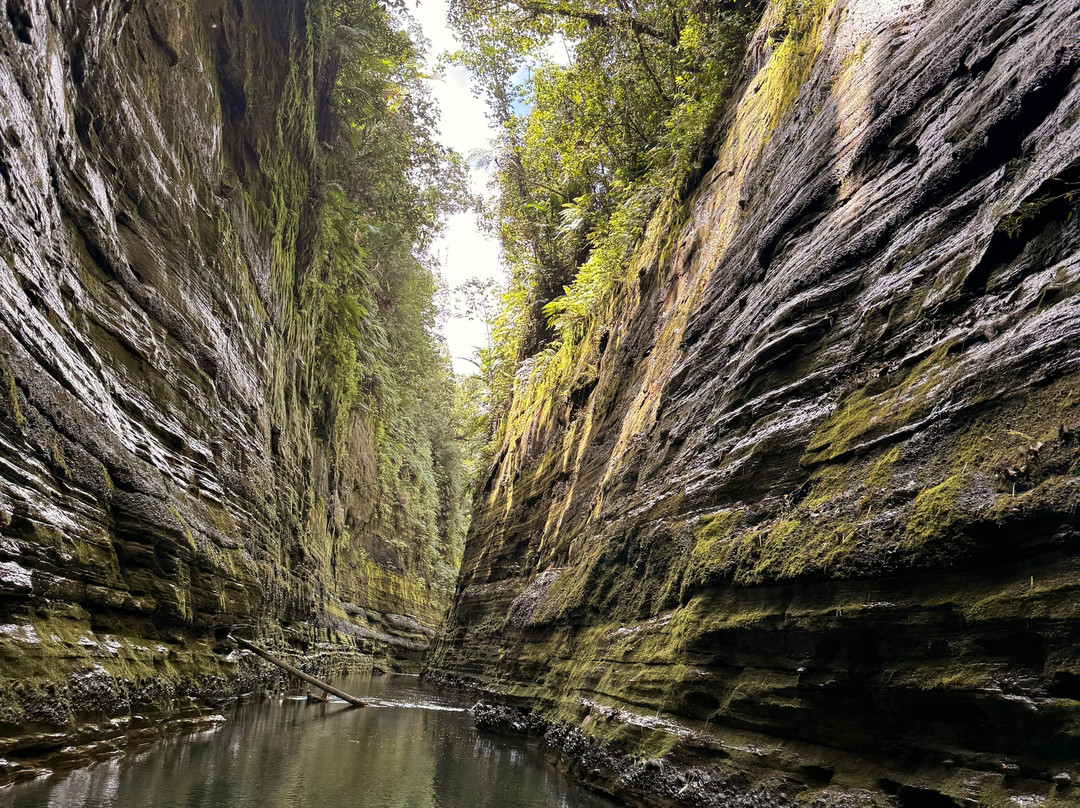 Rivers Fiji - Day Adventures-太平洋港必去景点