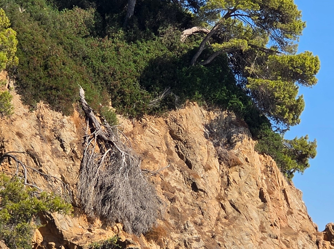 Playa Cala Sa Boadella-犹兰特德玛必去景点