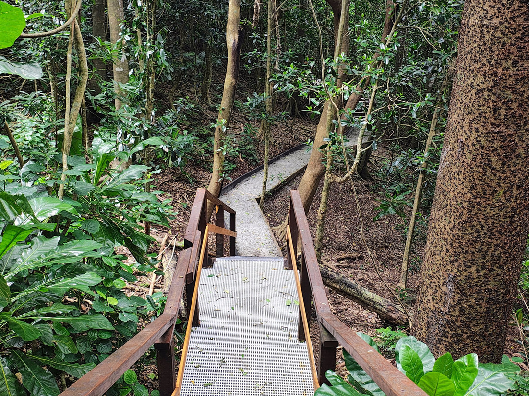 Norfolk Island National Park & Botanic Garden-诺福克岛必去景点