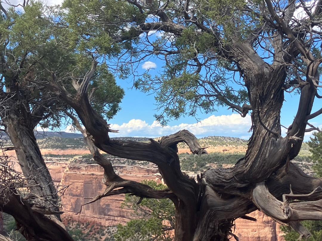 Trail of the Ancients National Scenic Byway