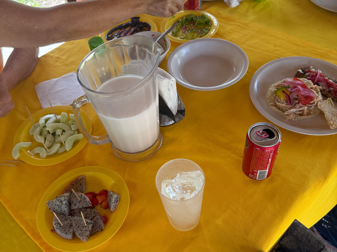 YucatanCenote .com Eco-Adventures-Progreso必去景点