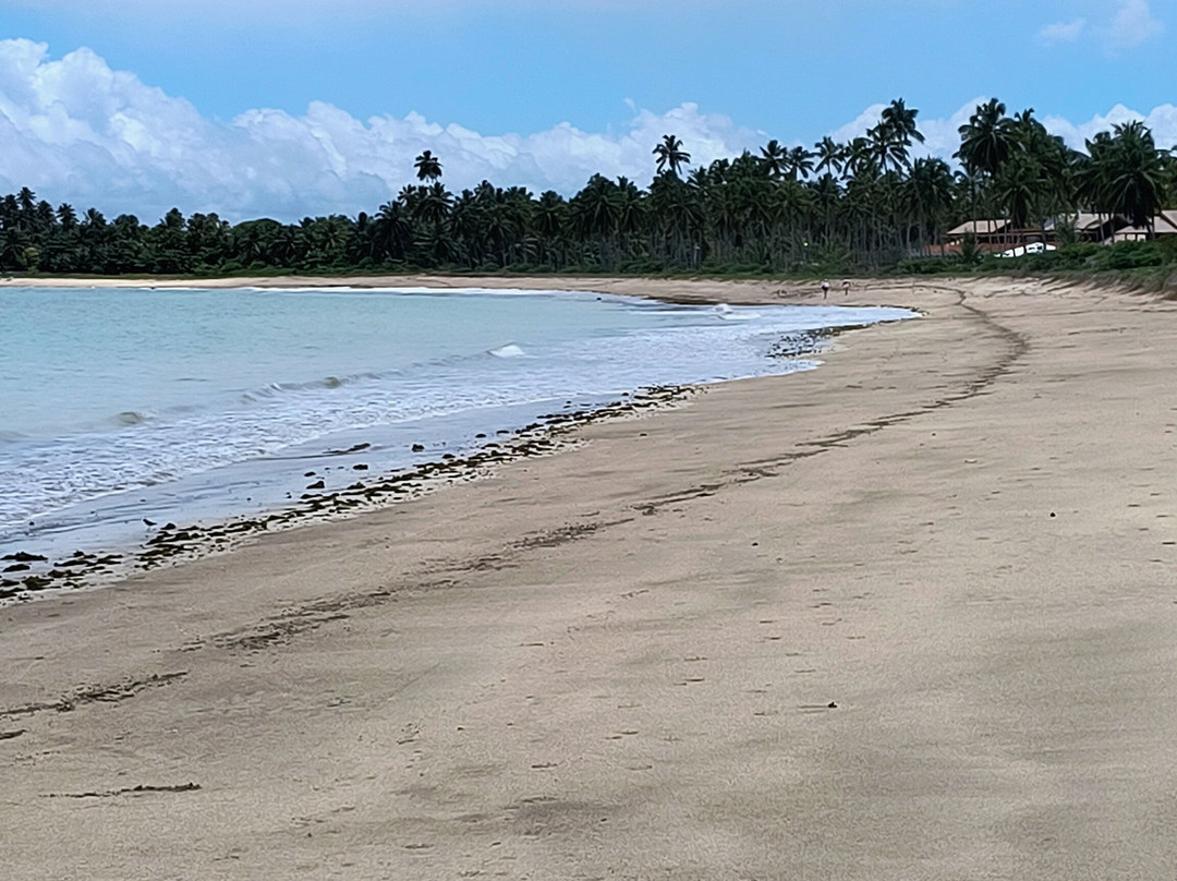 Lages Beach-Porto de Pedras必去景点