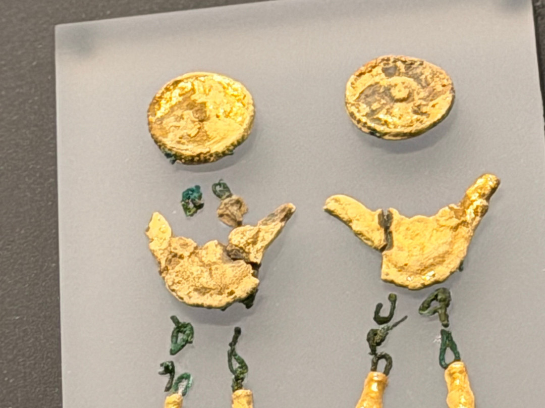 Archaeological Museum of Chania-干尼亚必去景点