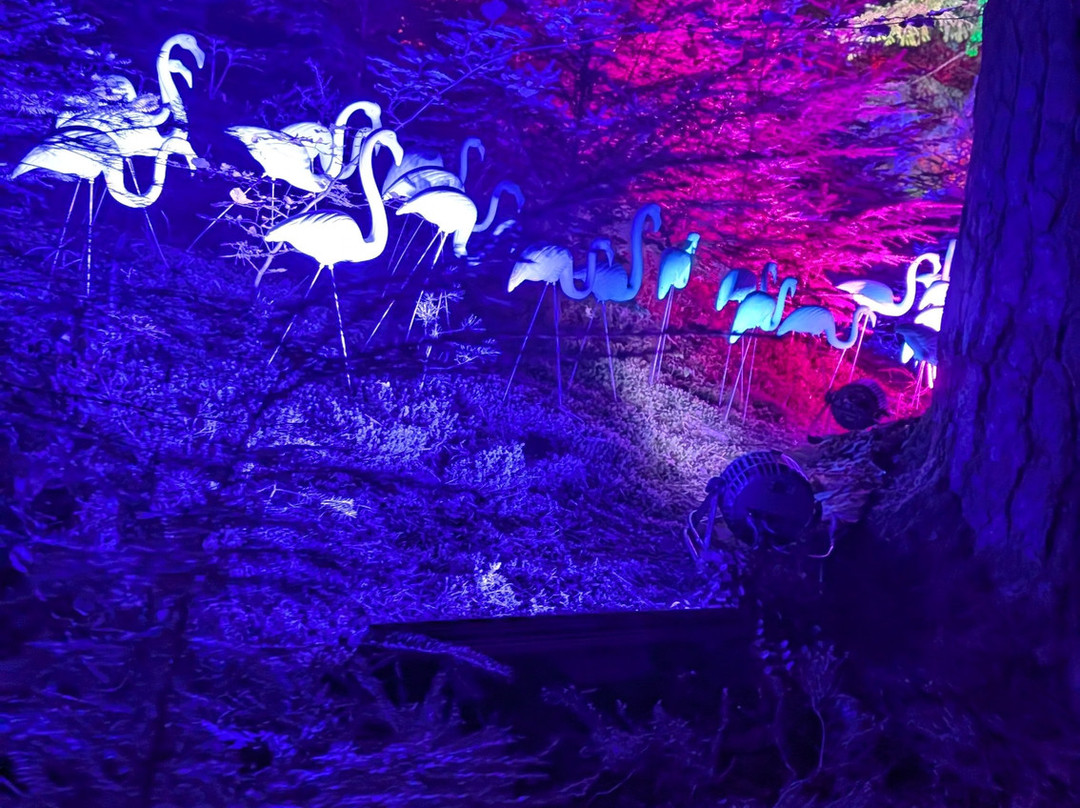 The Enchanted Forest-皮特洛赫里必去景点