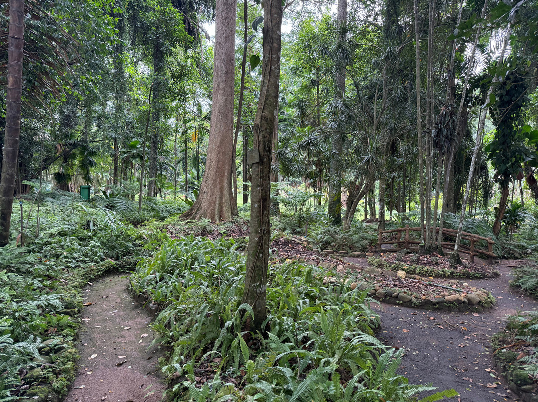 Royal Botanic Gardens Peradeniya-康提必去景点