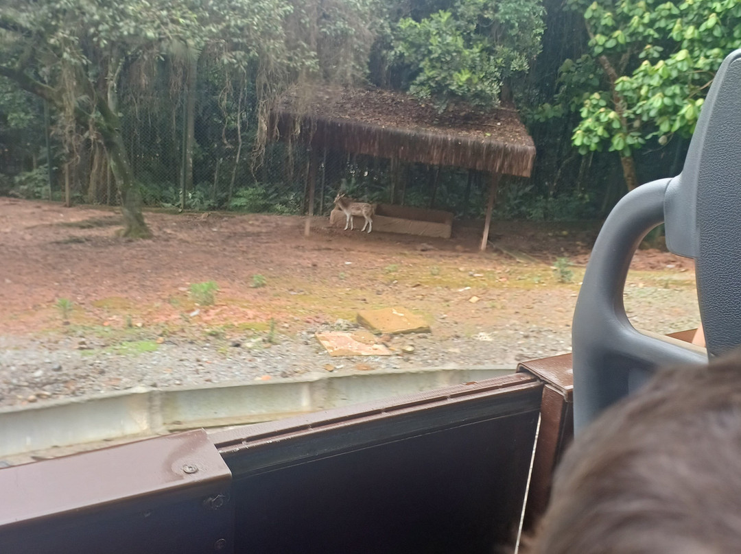 Zoologico De Sao Paulo-圣保罗必去景点