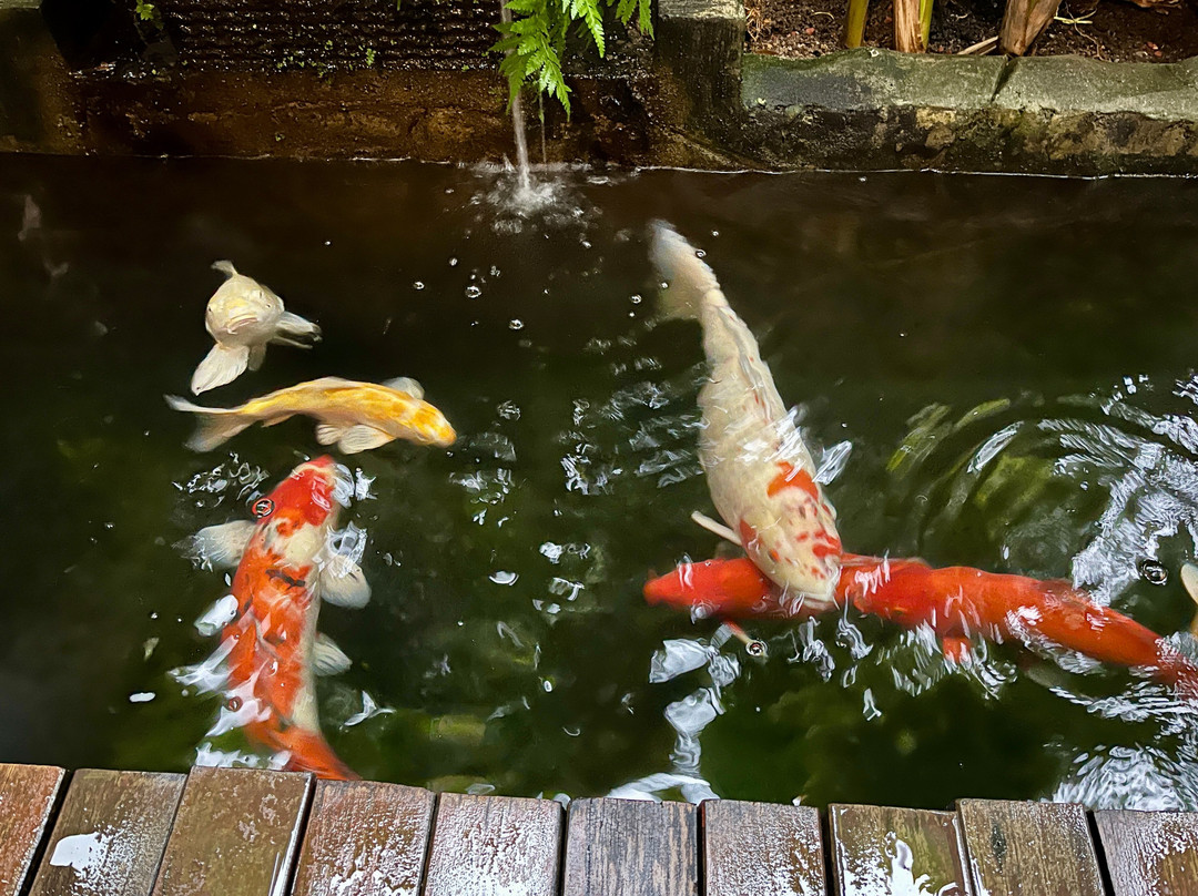 怡保巴利酒店主图