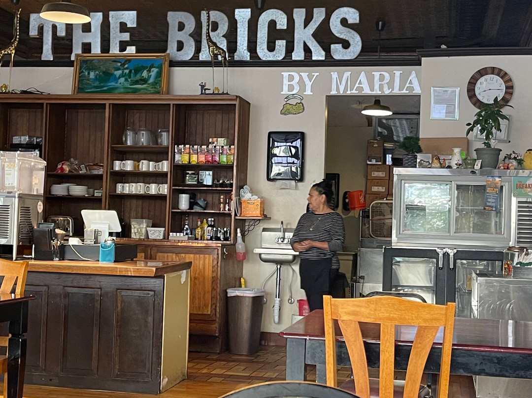 The Bricks by Maria