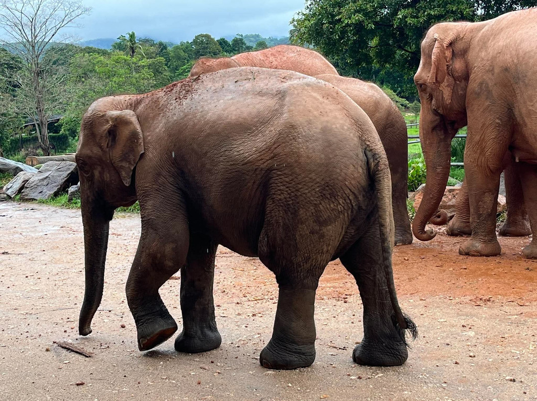 Dinu Ceylon Tours-Kammala必去景点