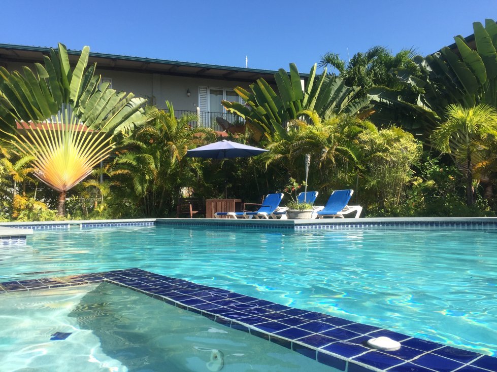 Almond Tree Hotel Resort-官方