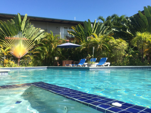 Kohunlich酒店住宿-Almond Tree Hotel Resort