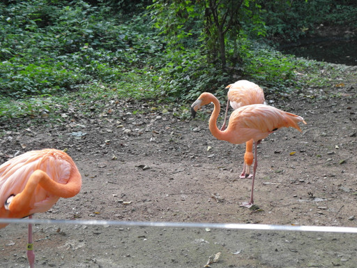 杭州动物园-杭州市必去景点