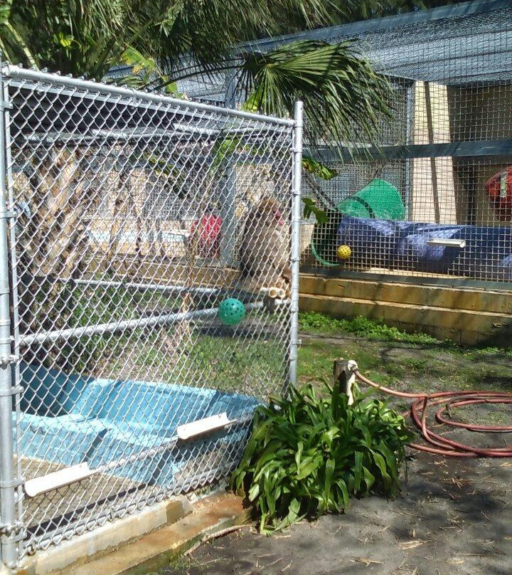 Michiana Motel and Apartments