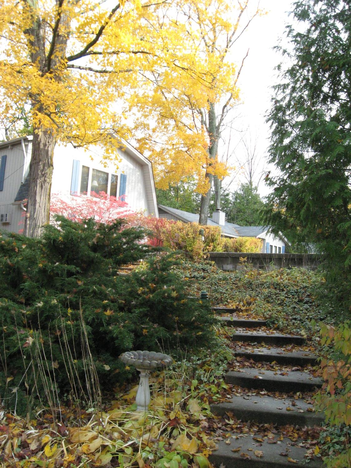 Scandia Cottages-浴室